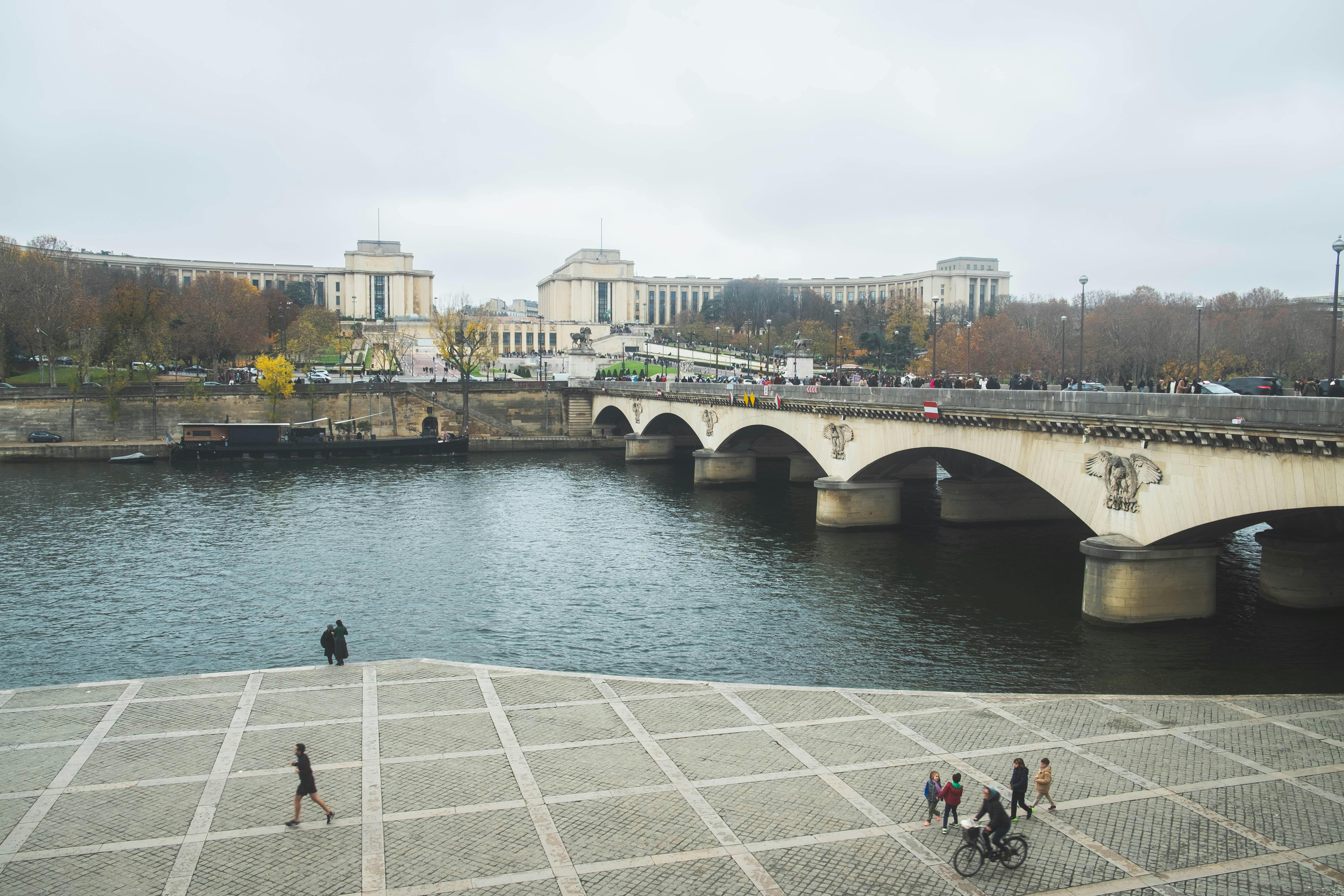 Love locks at the Pont Neuf, River Seine, Stock Video