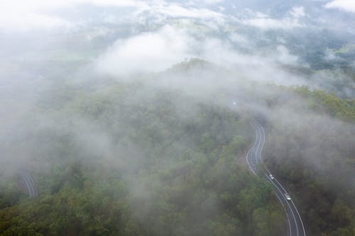 Free An Aerial Shot of a Road and a Forest during a Foggy Day Stock Photo