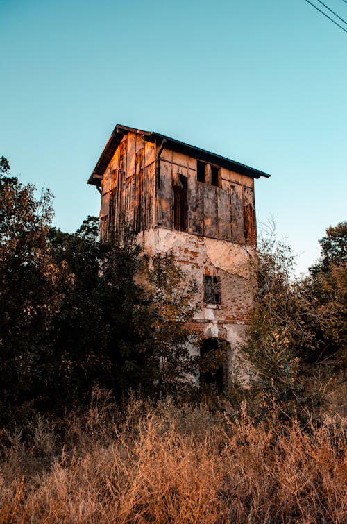 Безкоштовне стокове фото на тему «блакитне небо, Будівля, дерева»