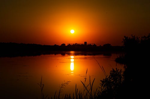 Foto profissional grátis de Danúbio, golden sun, lindo pôr do sol