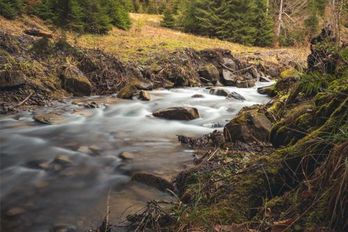Free Long exposure of a tranquil stream flowing through a mossy forest in Covasna, Romania. Stock Photo