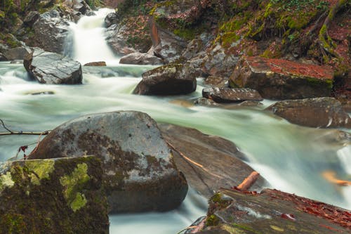 강, 개울, 긴 노출의 무료 스톡 사진