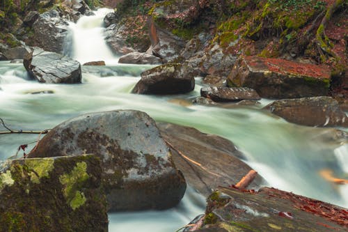 Immagine gratuita di acqua, cascate, creek