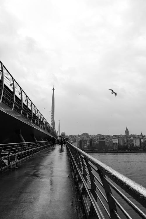Free Grayscale Photo of a Bridge Over a River Stock Photo