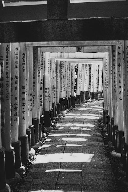 Black and White Photo of a Walkway 