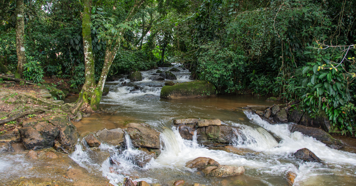 Photo by Beatriz Novaes Tranquil waterfall cascading over rocks in Bonito, Brazil's dense tropical forest.