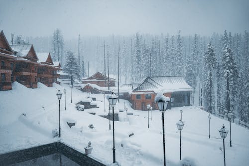 Imagine de stoc gratuită din arbori, cabană, congelat