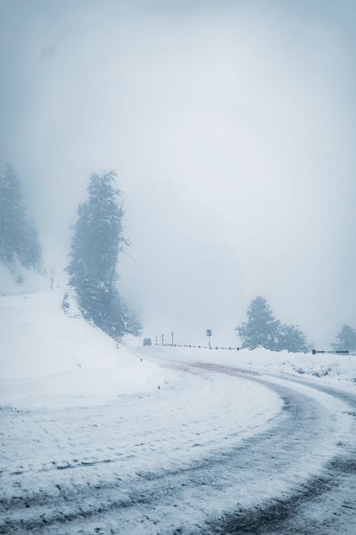 Free A foggy winter road with snow-covered ground and trees, creating a serene outdoor scene. Stock Photo