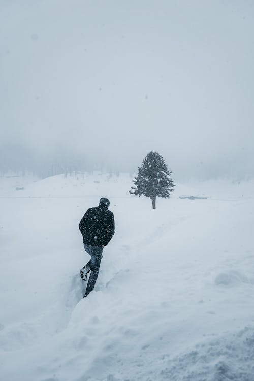 Free Man in Black Jacket Walking on Snow Stock Photo