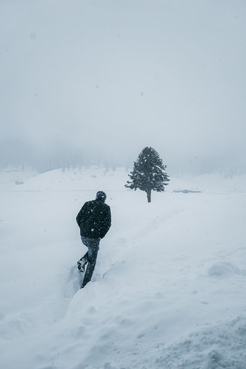 Free A person walks alone through a snow-covered field during a snowstorm. Stock Photo