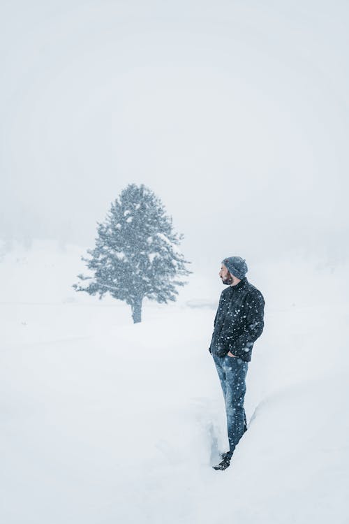 Foto profissional grátis de ao ar livre, árvore, chão coberto de neve