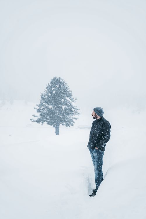 Man Standing in a Snowy Forest · Free Stock Photo