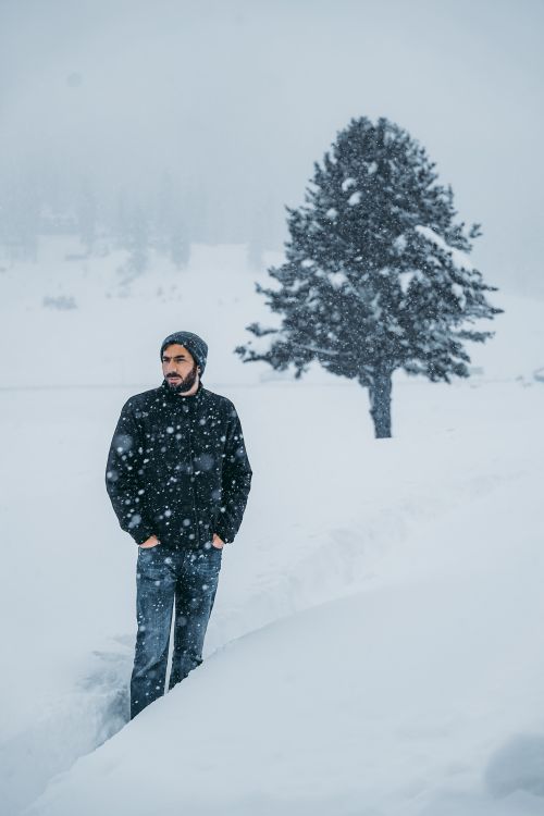 Man Standing in a Snowy Forest · Free Stock Photo