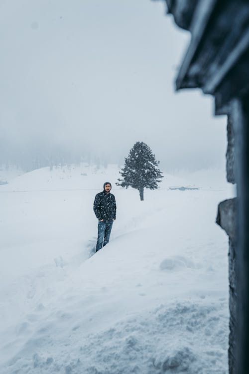 Foto profissional grátis de árvore, casaco de inverno, chão coberto de neve