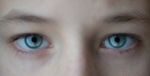 Free Person's Eyes Looking at the Camera in Close-up Photography Stock Photo