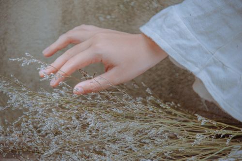 Free Close-up of a hand touching delicate dry grasses, evoking a sense of calm and connection with nature. Stock Photo