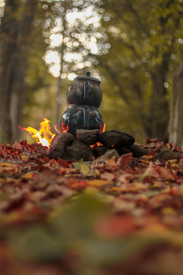 A Clay Pot On The Fire In The Middle Of The Forest