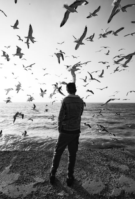 A man stands by the sea surrounded by flying seagulls in Bandar Bushehr, Iran, captured in striking black and white.