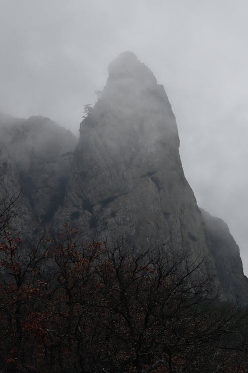 бесплатная Бесплатное стоковое фото с вертикальный выстрел, горы, деревья Стоковое фото
