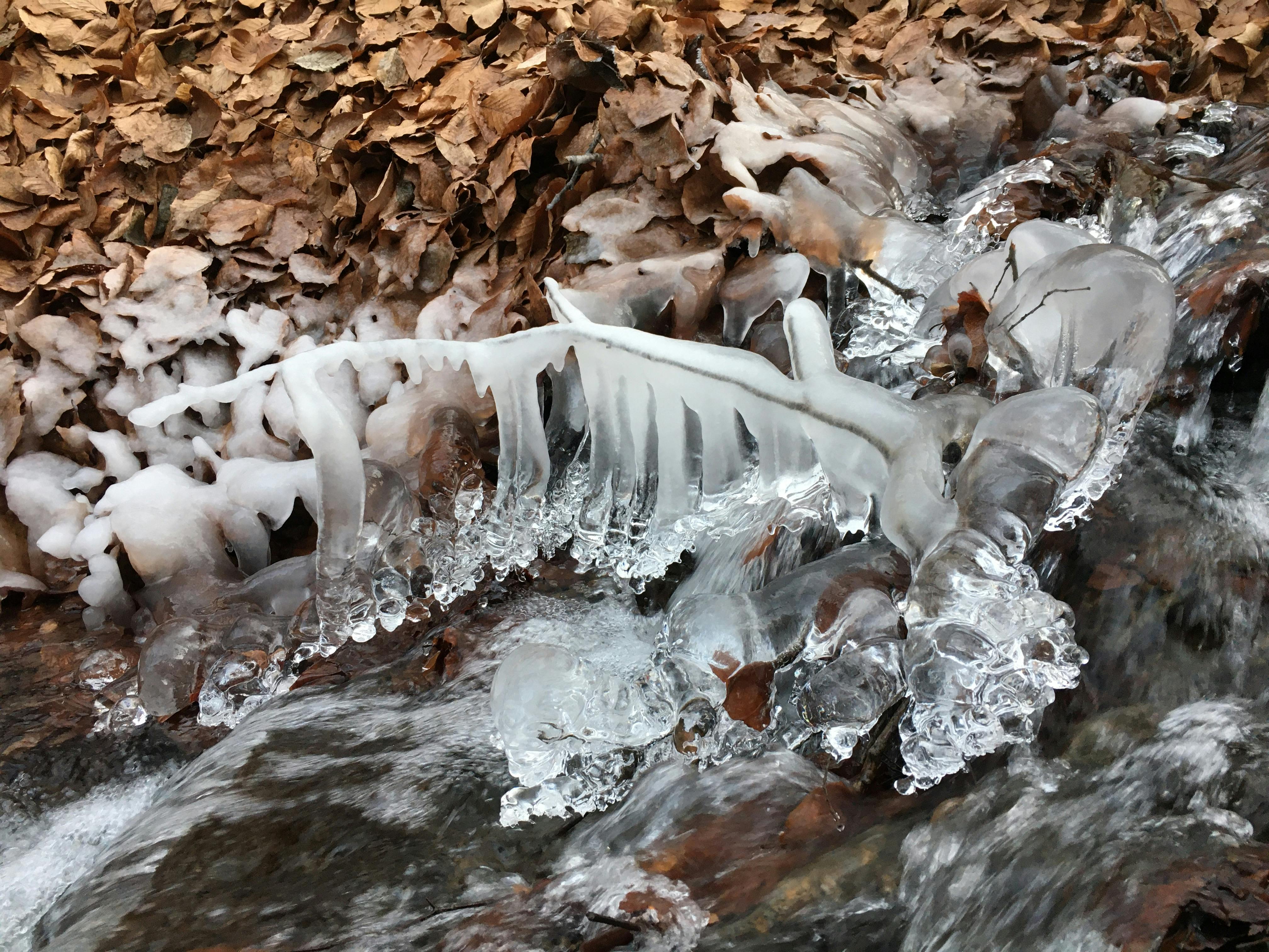 Free stock photo of aesthetic desktop wallpaper, aesthetic wallpaper, background wallpaper by Sun Pixel Photography