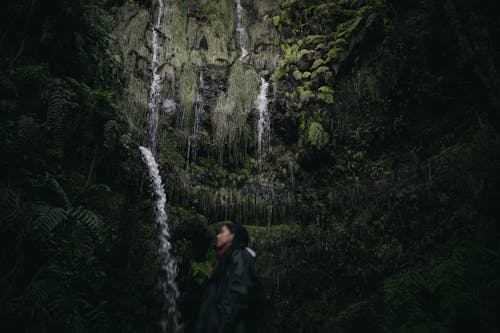 Free Man in Black Jacket Standing Near Waterfalls Stock Photo