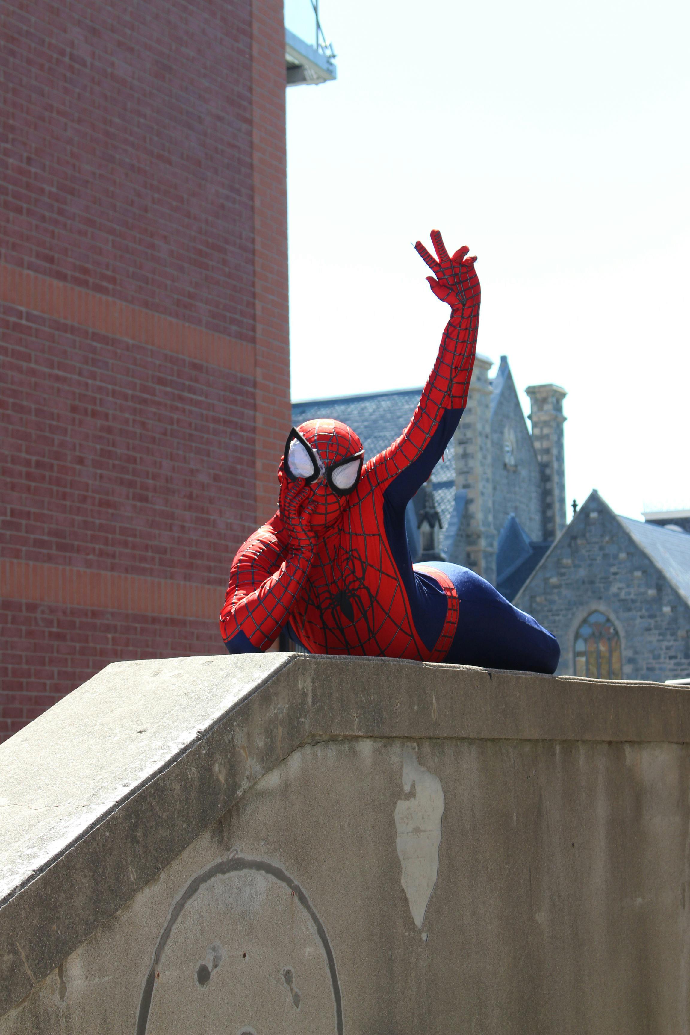 Free stock photo of funny, hero, spider man