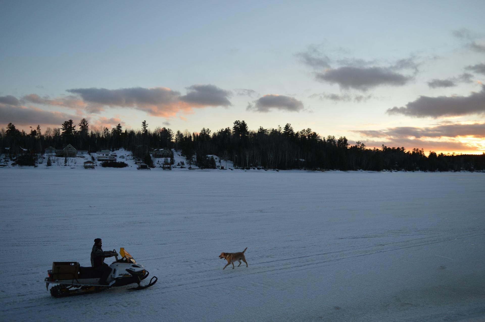 A Person Riding a Snowmobile with His Dog while Strolling on a Snow Covered Ground