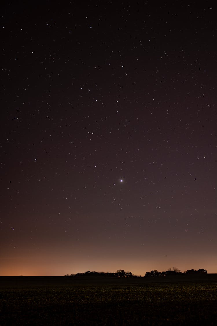 Starry Night Sky Above Field