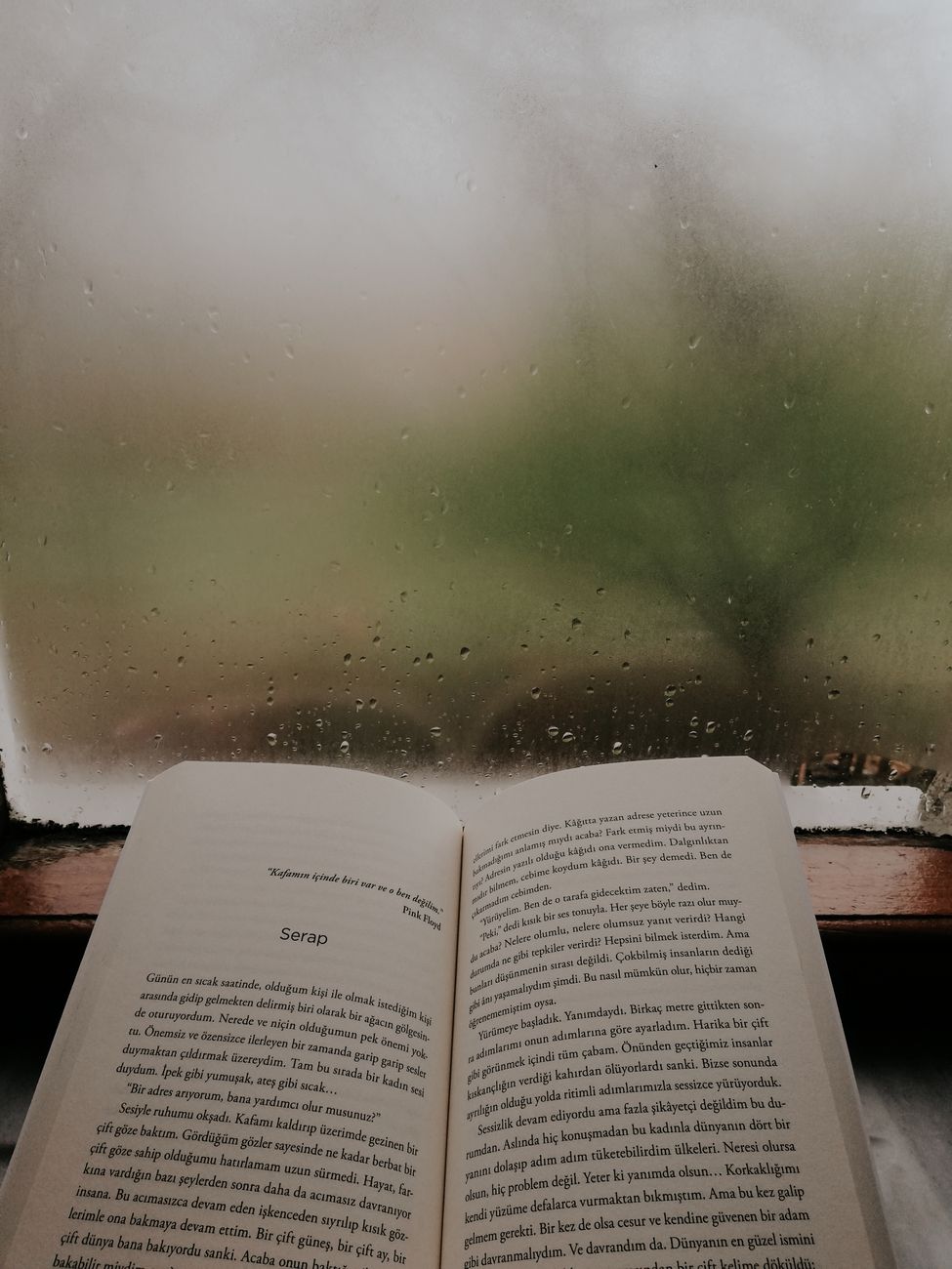 The Deep Read