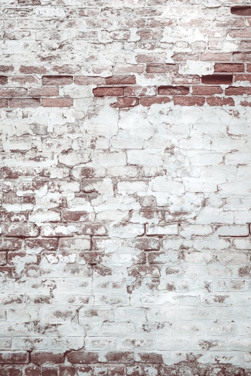 White and Brown Brick Wall
