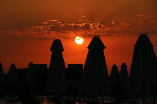 Silhouettes of closed beach umbrellas against a vibrant sunset sky.