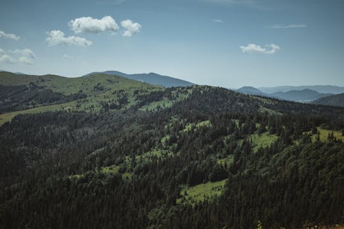 ドローン写真, 山脈, 松の木の無料の写真素材