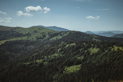 Lush green mountains and forests under a clear blue sky in Lviv region, Ukraine.