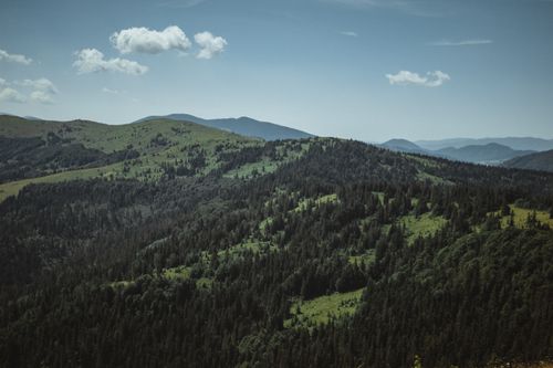 Free Lush green mountains and forests under a clear blue sky in Lviv region, Ukraine. Stock Photo