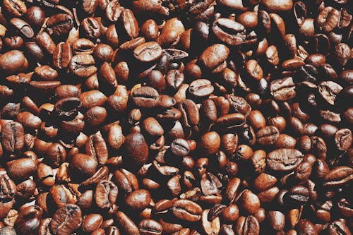 Close-up Photo of Brown Coffee Beans 