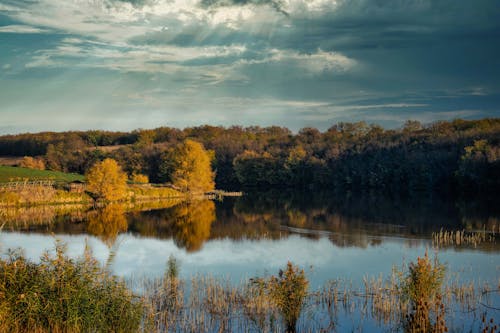 Immagine gratuita di acque calme, alberi, cielo nuvoloso