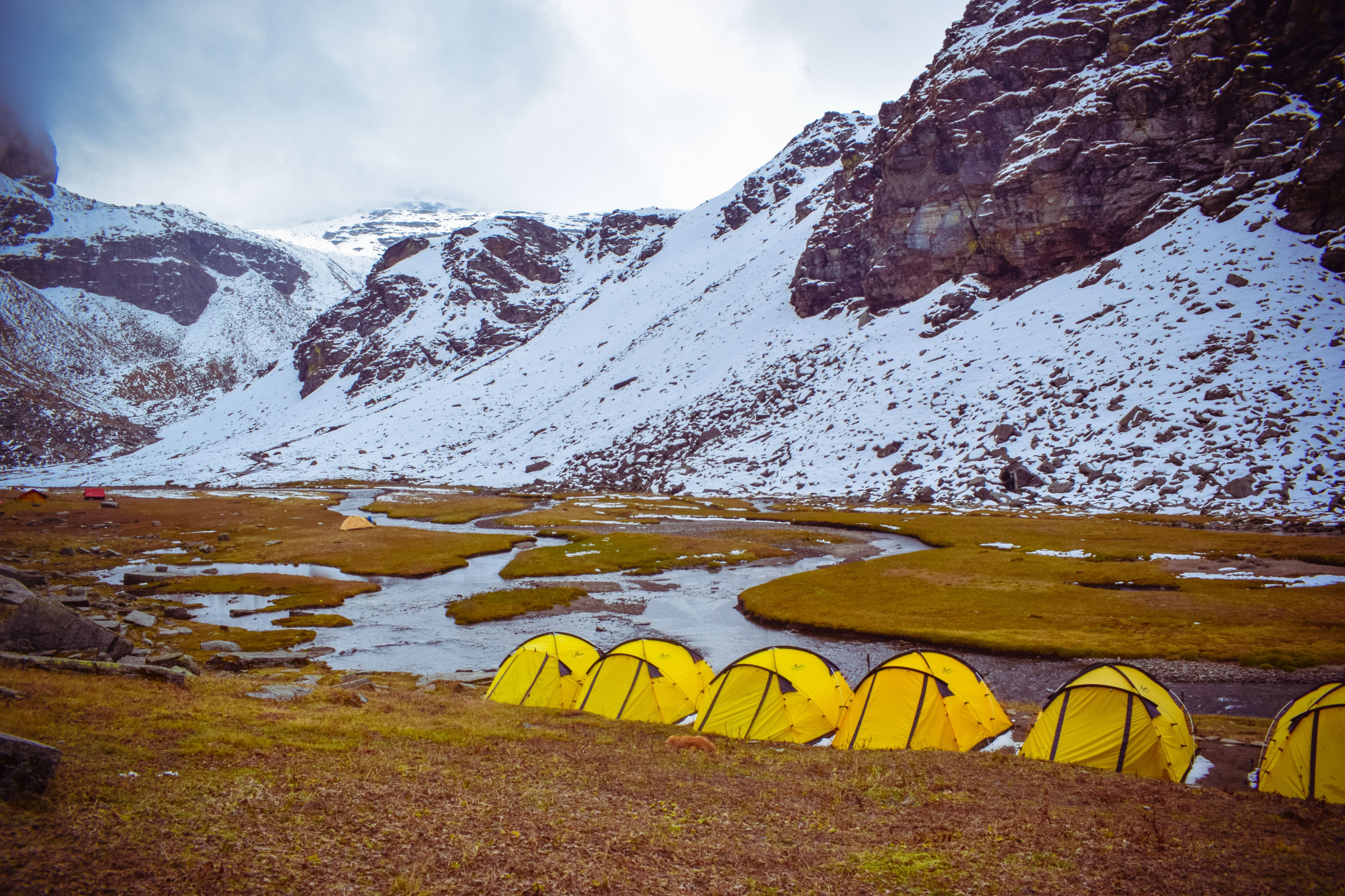 Yellow tents in snowy mountains of Himachal Pradesh, India, camping by the stream.