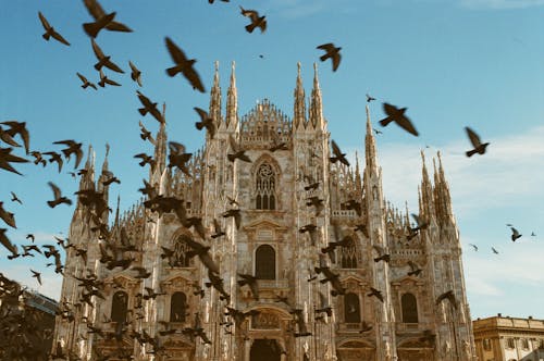 Immagine gratuita di attrazione turistica, birds_flying, cattedrale