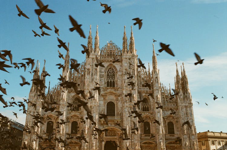 Duomo Di Milano Church 