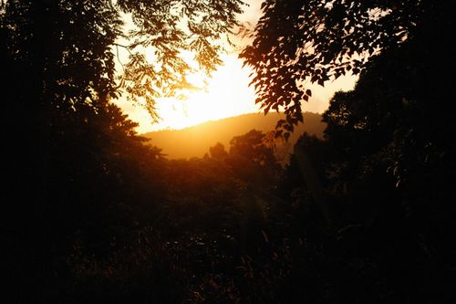 Free Stunning sunset view through silhouetted trees with a mountain backdrop, capturing warm natural beauty. Stock Photo