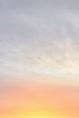 Airplane Flying in the Sky