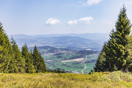 Foto Da Paisagem Do Campo De Grama Verde