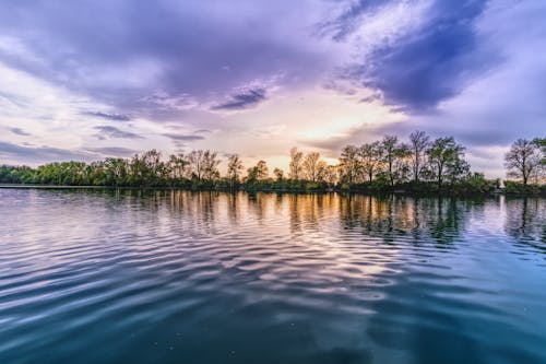 Green Trees Near Body of Water Under Cloudy Sky