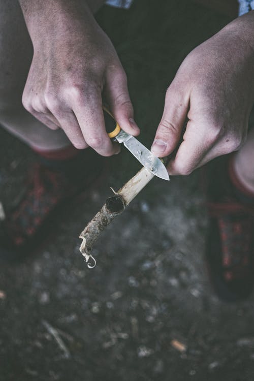 Persona In Possesso Di Coltello Tascabile E Ramo Di Un Albero