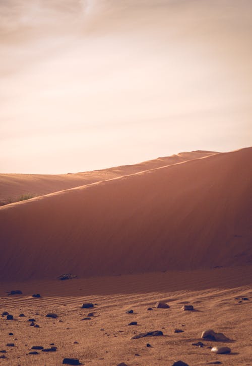 Photo of Sand Dunes