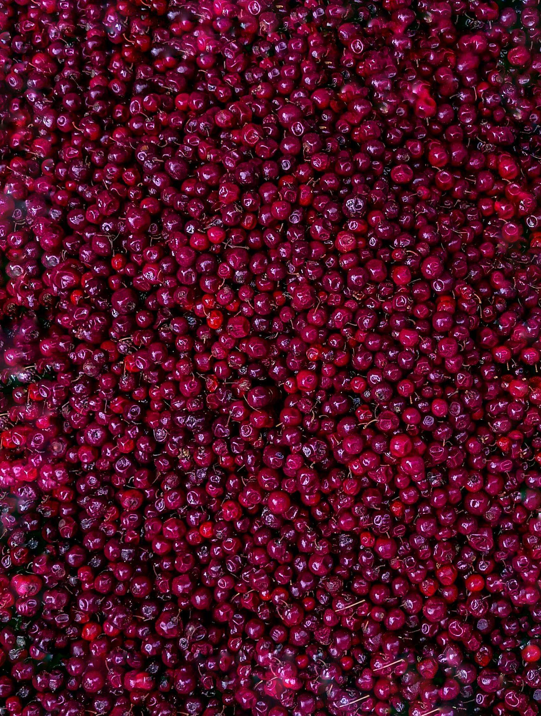 A Bulk of Fresh Cranberries · Free Stock Photo