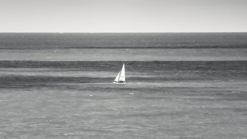 White Sailboat on Sea