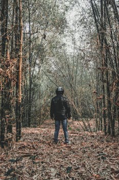 秋季，一个戴着头盔的孤独身影在宁静的竹林中探索