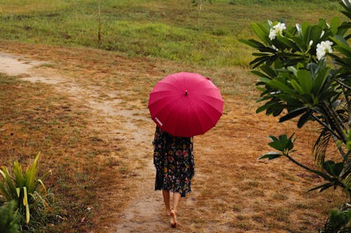Woman Holding Pink Umbrella Walking on a Footpath