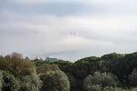 Green Trees and Bridge Covered with Fog Under White Sky